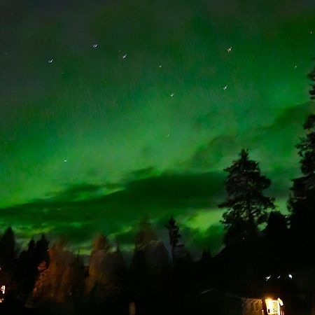 Ammerans Fiskecamp Hammarstrand エクステリア 写真
